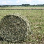 roll-of-hay-3-1390779