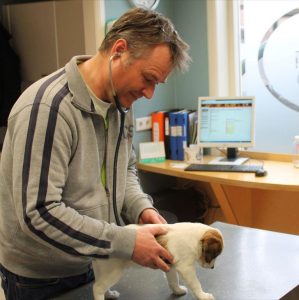 In de behandelkamer wordt uw dier behandeld door de dierenarts.